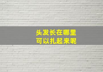 头发长在哪里 可以扎起来呢